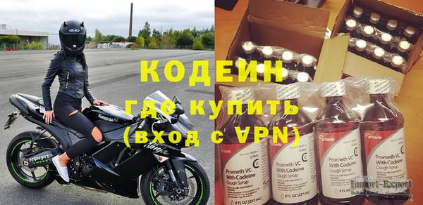 хмурый Елизово