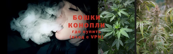 хмурый Елизово
