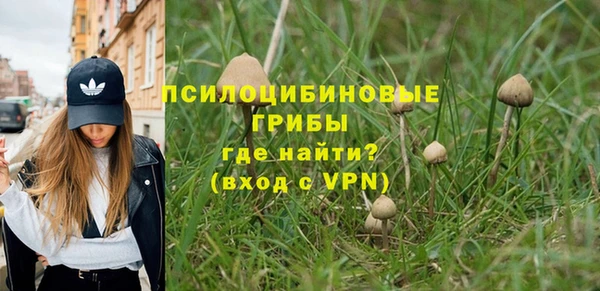 хмурый Елизово