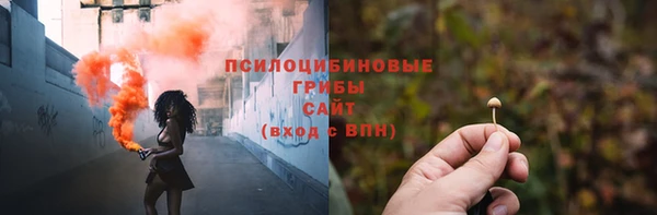 хмурый Елизово