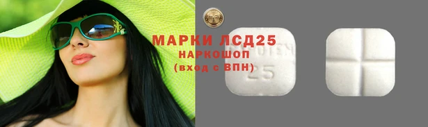 Альфа ПВП Елабуга