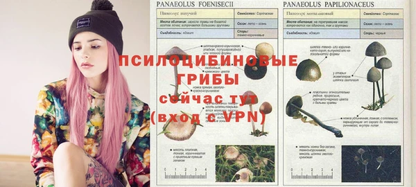 хмурый Елизово