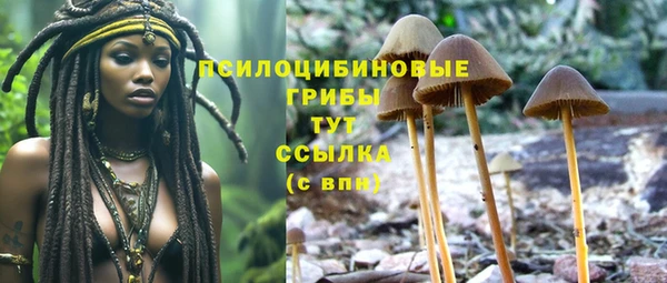 эйфоретик Ельня