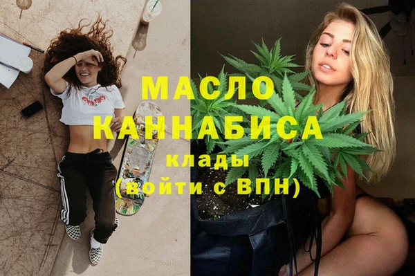эйфоретик Ельня
