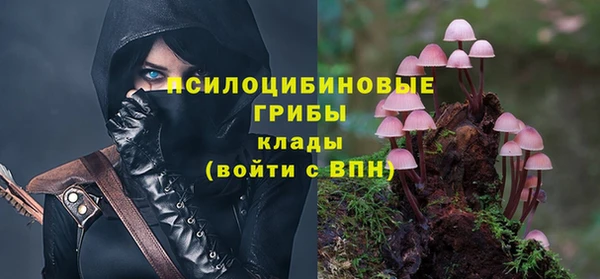 Альфа ПВП Елабуга