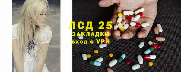 эйфоретик Ельня