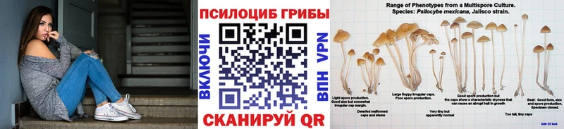купить сайты Усмань Псилоцибиновые грибы Psilocybine cubensis