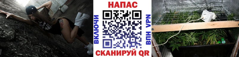 купить наркоту blacksprut tor Шишки марихуана гибрид Усмань